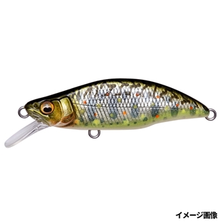 タクミカワマス