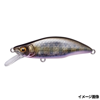 タクミサケ稚魚