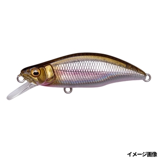 LZ ハイランドワカサギ2