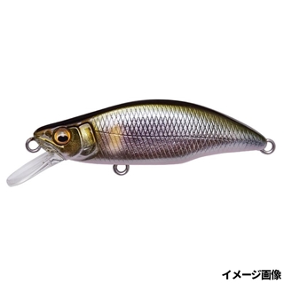 タクミセツキアユ