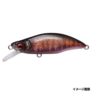 AL オータムハレーション