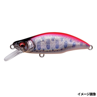 LZ ピンクバックヤマメ