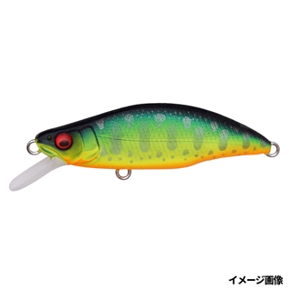 PA マークマッドタイガー