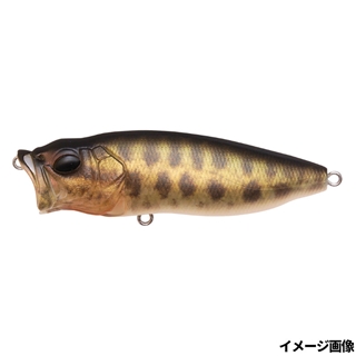 FA ベビーライギョ