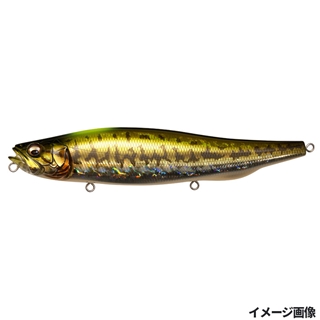 GG インジケーターバス