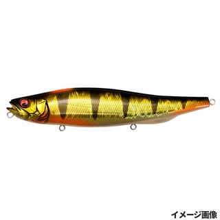 GG インジケーターパーチ