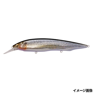 GG レンズコノシロ