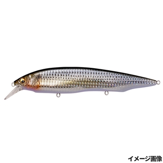 GG レンズコノシロ