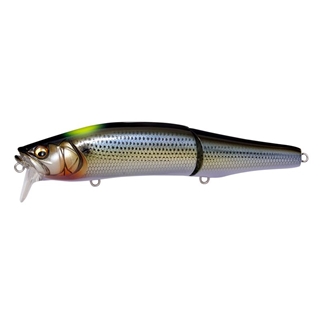 和銀コノシロインジケーター