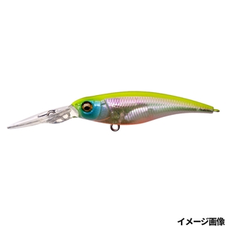 オーロラリアクション