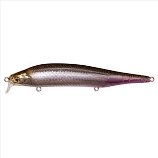 FA ゴーストワカサギ