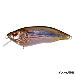 FAゴーストカワムツ