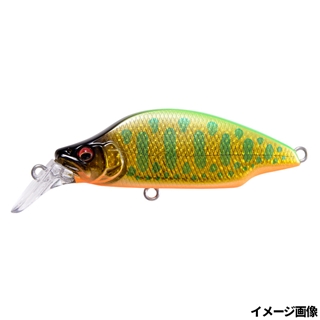 DD ライムバックゴールドOB