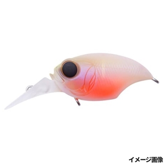 ベビーキンギョ