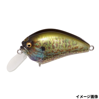 パンプキンシード