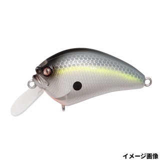 PM セクシーシャッド