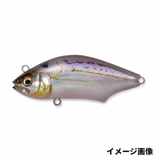 FA ヒイラギ