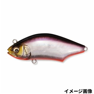 SH RBシャッド