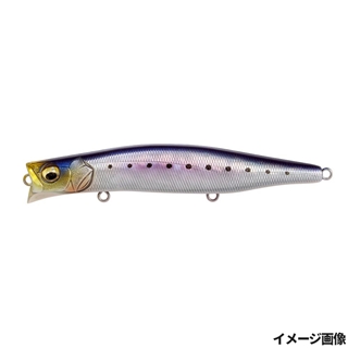 SH イワシ