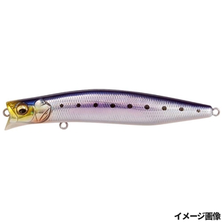 SH イワシ