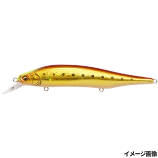 GG アカキンイワシCH