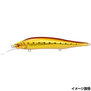 GG アカキンイワシCH