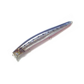 16.イワシ・レッドベリーAHG