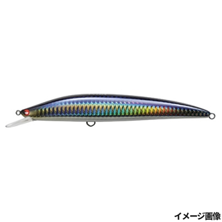 No.108.SH・セグロカタクチ