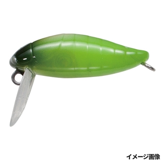 03.オーロラ・グリーン