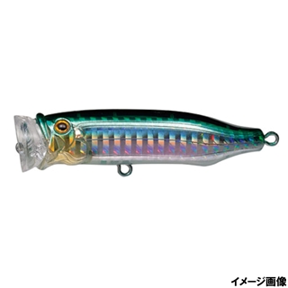 06.サヨリ(グリーンバック)