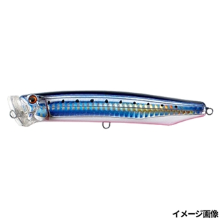 08.イワシ・レッドベリー・スリットHG