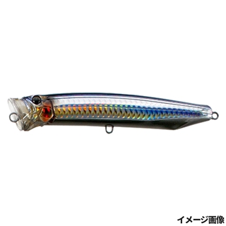 09.セグロカタクチスリットHG