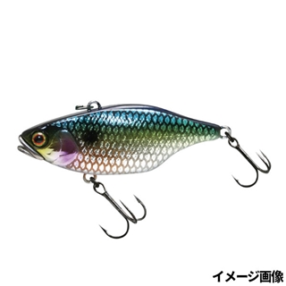 ウロコホロ SSシャッド