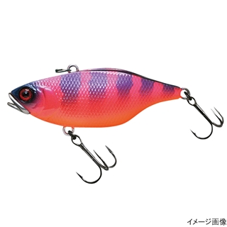 マルハタスパークギル