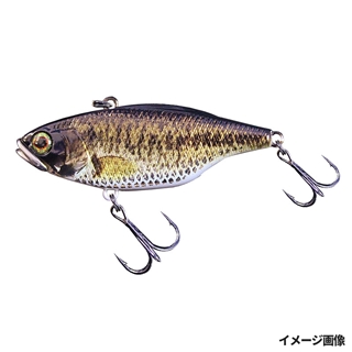 RTウロコホロバス