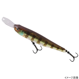 弱光ギル(Silver Lip)