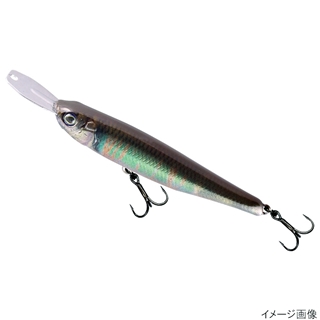 RTオイカワ オス(Silver Lip)