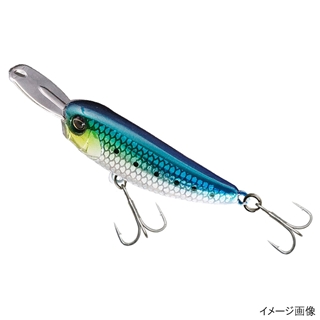 ナマイワシ(Silver Lip)