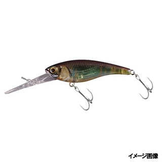 RTマルハタオイカワ