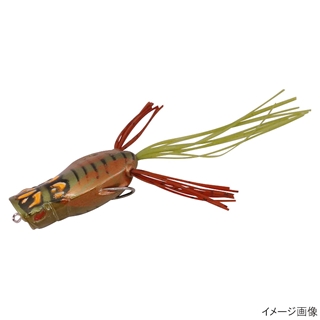 ガヴァチョゼミ