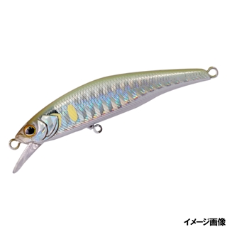 ストライプワカアユ