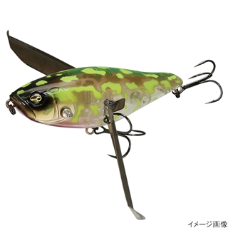 グラスフロッグ