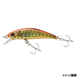 サイトアカキン