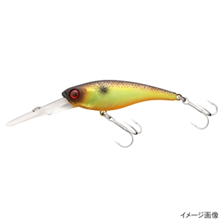 マッディーチャートフィッシュ