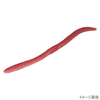 土ミミズ