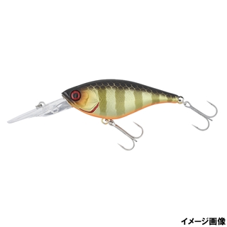 SKシャンパンゴールドギル