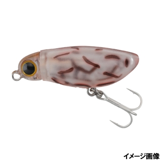 はぐれワレカラ