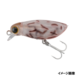 はぐれワレカラ