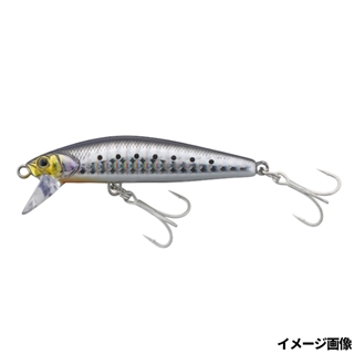 パニック背黒イワシ