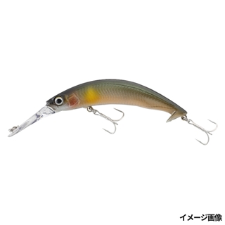 ナチュラルアユ